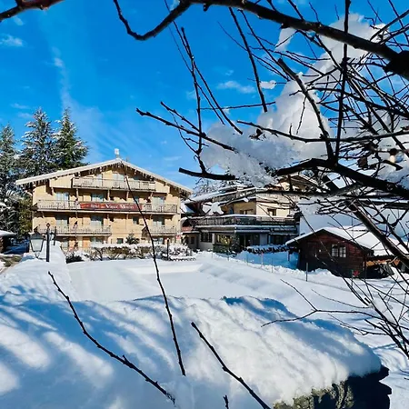 Отель Au Vieux Moulin 3*