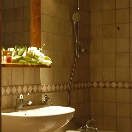 Au Vieux Moulin Hotel 3*